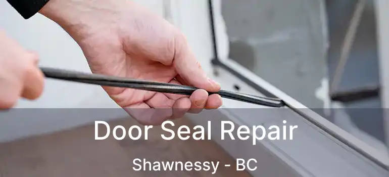  Door Seal Repair Shawnessy - BC