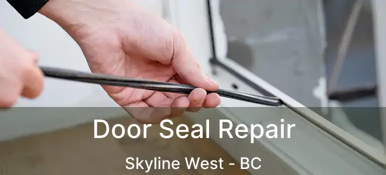  Door Seal Repair Skyline West - BC
