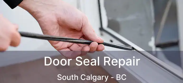  Door Seal Repair South Calgary - BC