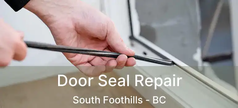  Door Seal Repair South Foothills - BC