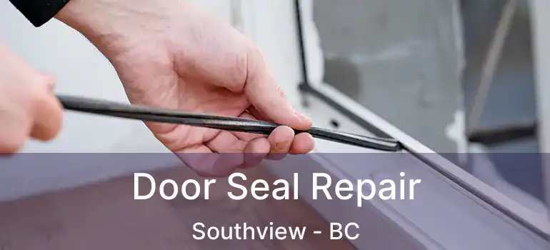  Door Seal Repair Southview - BC