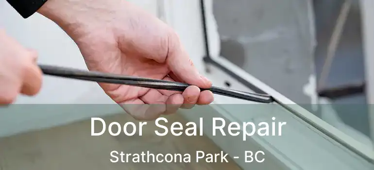  Door Seal Repair Strathcona Park - BC