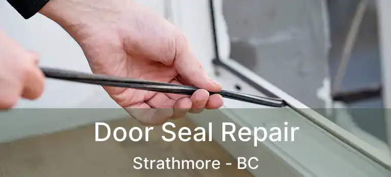  Door Seal Repair Strathmore - BC