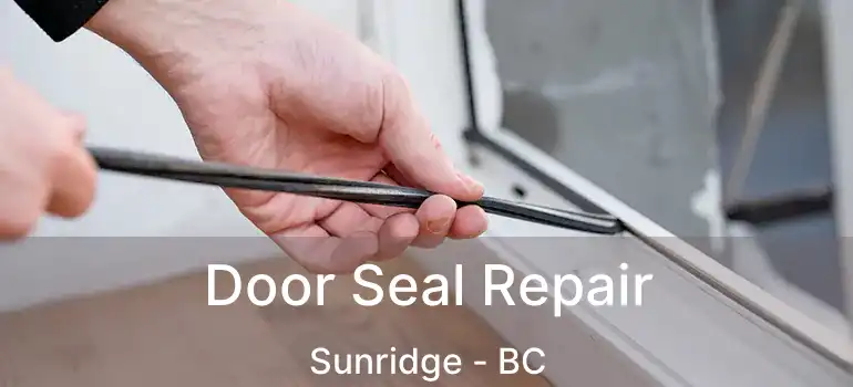  Door Seal Repair Sunridge - BC