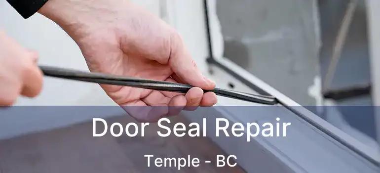 Door Seal Repair Temple - BC