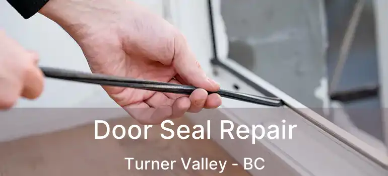  Door Seal Repair Turner Valley - BC