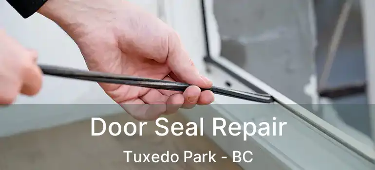  Door Seal Repair Tuxedo Park - BC