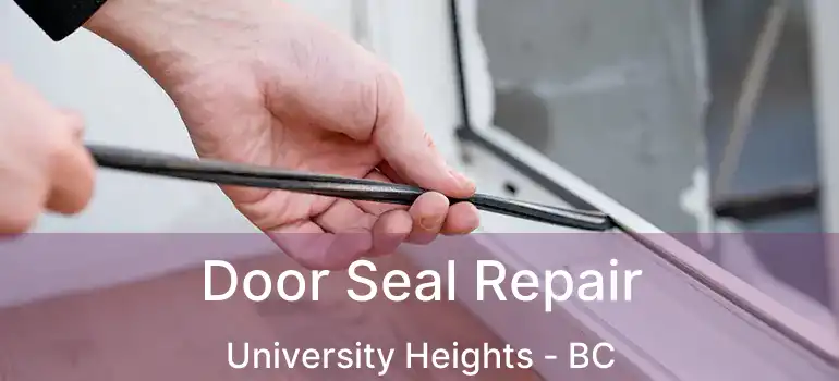  Door Seal Repair University Heights - BC