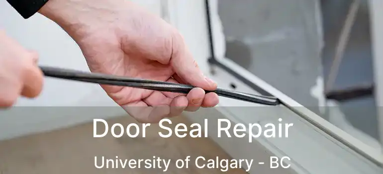  Door Seal Repair University of Calgary - BC