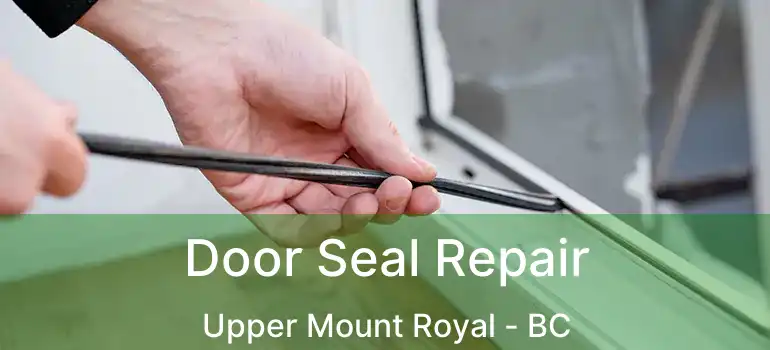  Door Seal Repair Upper Mount Royal - BC