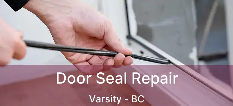  Door Seal Repair Varsity - BC