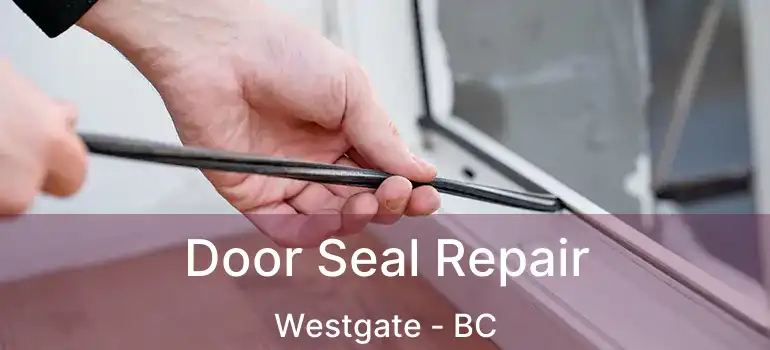  Door Seal Repair Westgate - BC