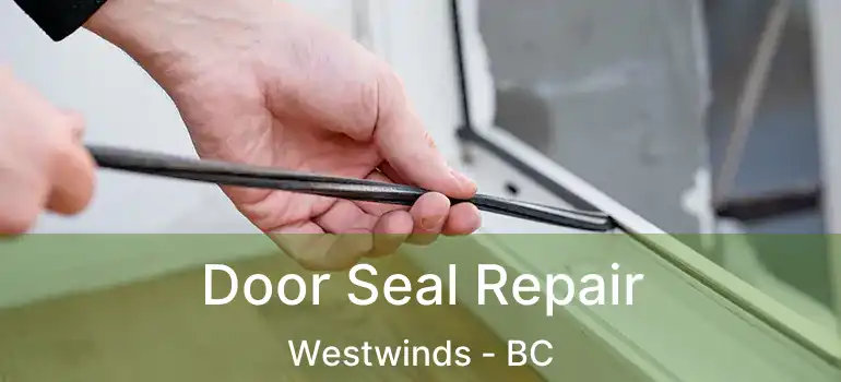  Door Seal Repair Westwinds - BC