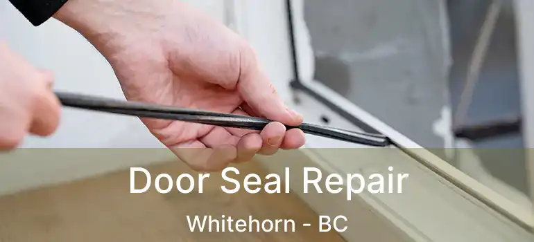  Door Seal Repair Whitehorn - BC