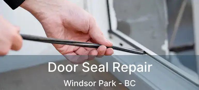  Door Seal Repair Windsor Park - BC