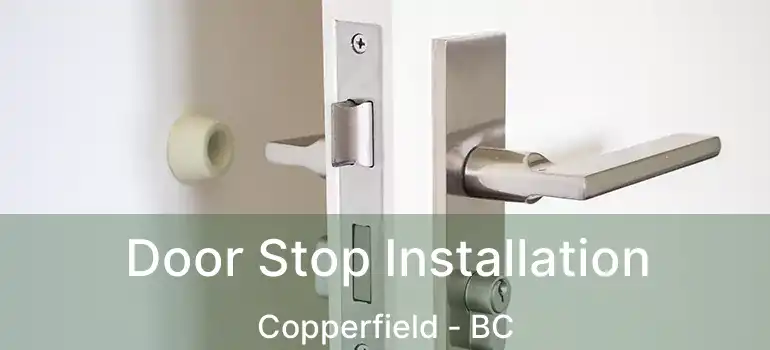  Door Stop Installation Copperfield - BC
