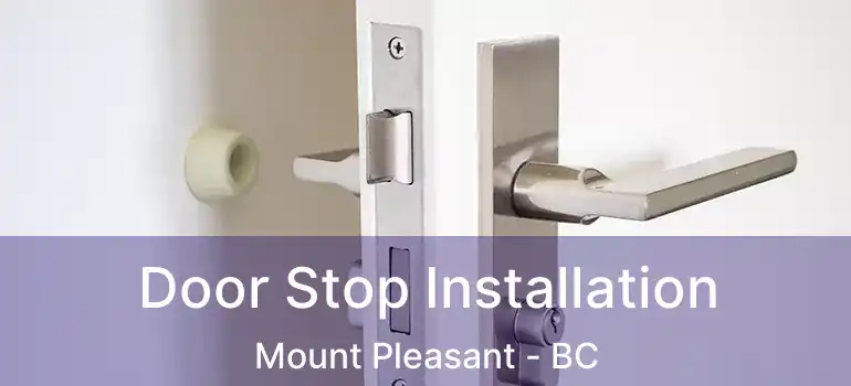  Door Stop Installation Mount Pleasant - BC