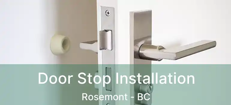  Door Stop Installation Rosemont - BC
