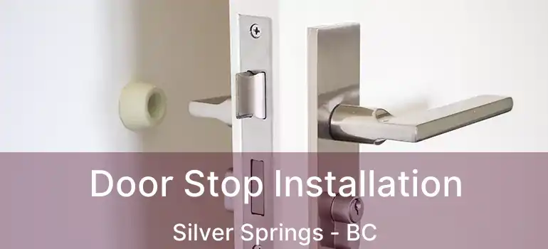  Door Stop Installation Silver Springs - BC