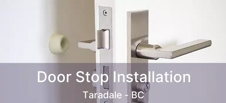  Door Stop Installation Taradale - BC
