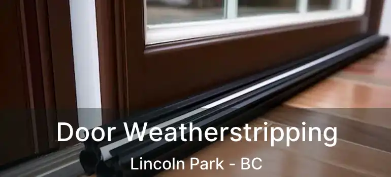  Door Weatherstripping Lincoln Park - BC