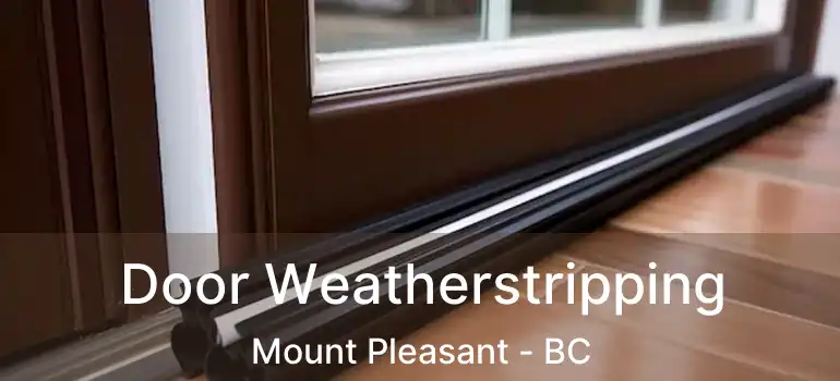  Door Weatherstripping Mount Pleasant - BC