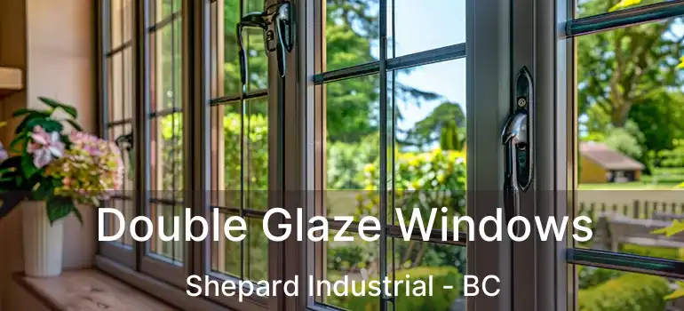  Double Glaze Windows Shepard Industrial - BC
