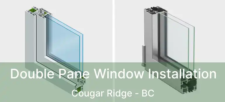 Double Pane Window Installation Cougar Ridge - BC