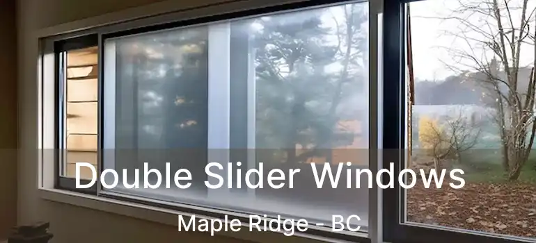  Double Slider Windows Maple Ridge - BC