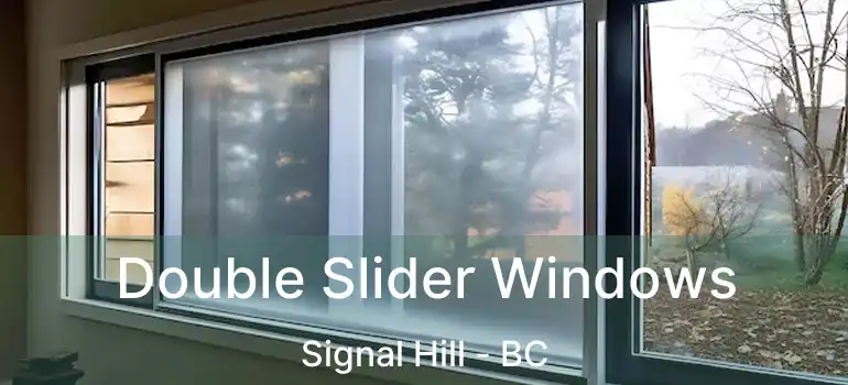  Double Slider Windows Signal Hill - BC