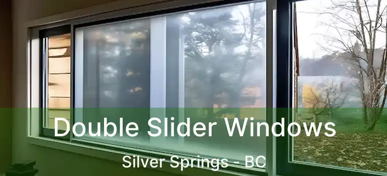  Double Slider Windows Silver Springs - BC