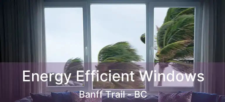  Energy Efficient Windows Banff Trail - BC