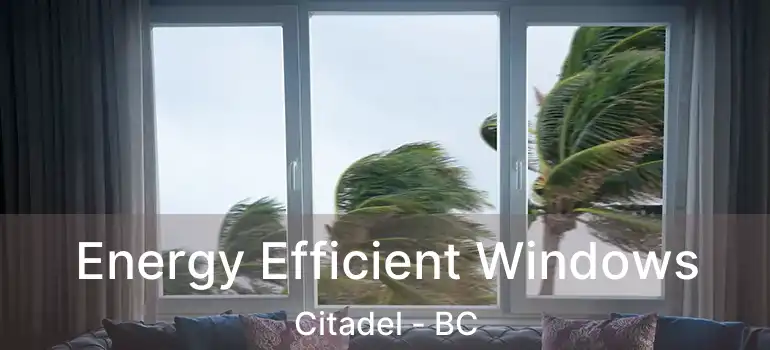  Energy Efficient Windows Citadel - BC