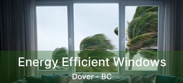  Energy Efficient Windows Dover - BC