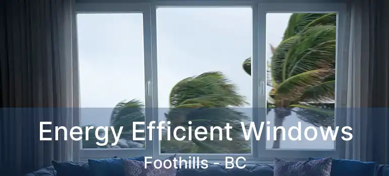 Energy Efficient Windows Foothills - BC
