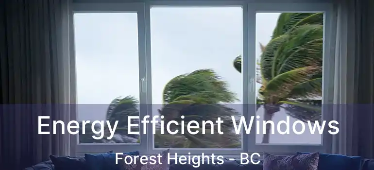  Energy Efficient Windows Forest Heights - BC