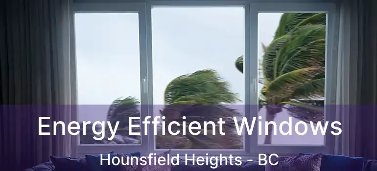  Energy Efficient Windows Hounsfield Heights - BC