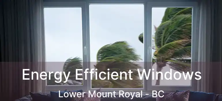  Energy Efficient Windows Lower Mount Royal - BC
