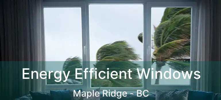  Energy Efficient Windows Maple Ridge - BC