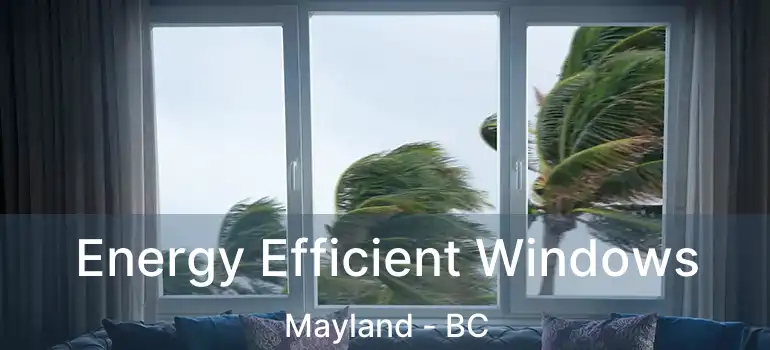  Energy Efficient Windows Mayland - BC