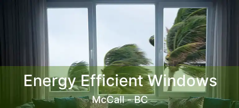  Energy Efficient Windows McCall - BC