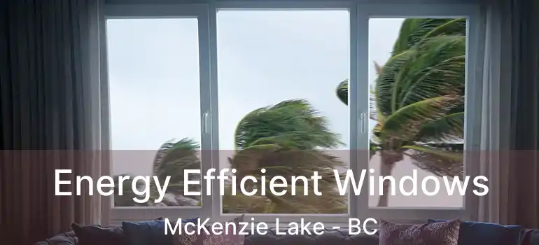  Energy Efficient Windows McKenzie Lake - BC