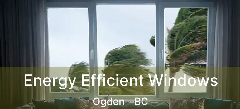  Energy Efficient Windows Ogden - BC