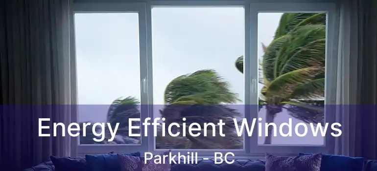  Energy Efficient Windows Parkhill - BC