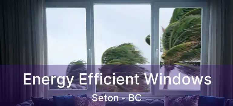  Energy Efficient Windows Seton - BC