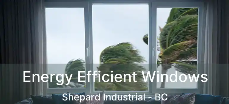  Energy Efficient Windows Shepard Industrial - BC