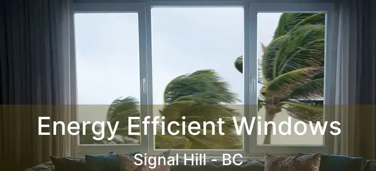  Energy Efficient Windows Signal Hill - BC