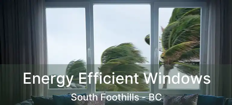  Energy Efficient Windows South Foothills - BC