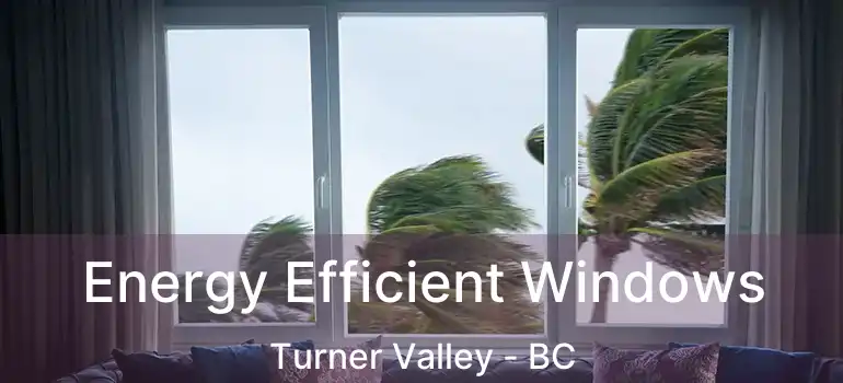  Energy Efficient Windows Turner Valley - BC