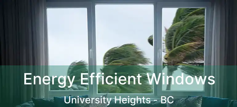  Energy Efficient Windows University Heights - BC